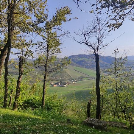 La Pergola Bed & Breakfast Becedasco Bagian luar foto