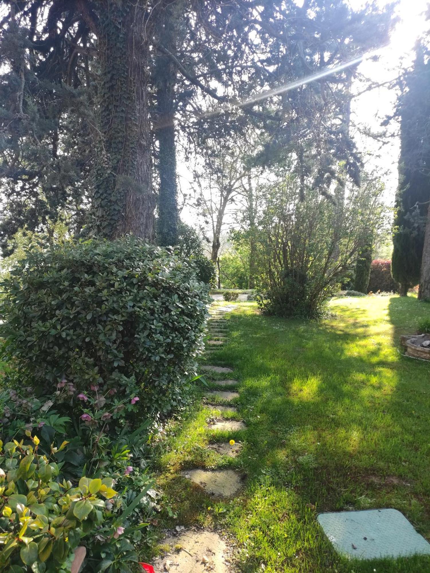 La Pergola Bed & Breakfast Becedasco Bagian luar foto