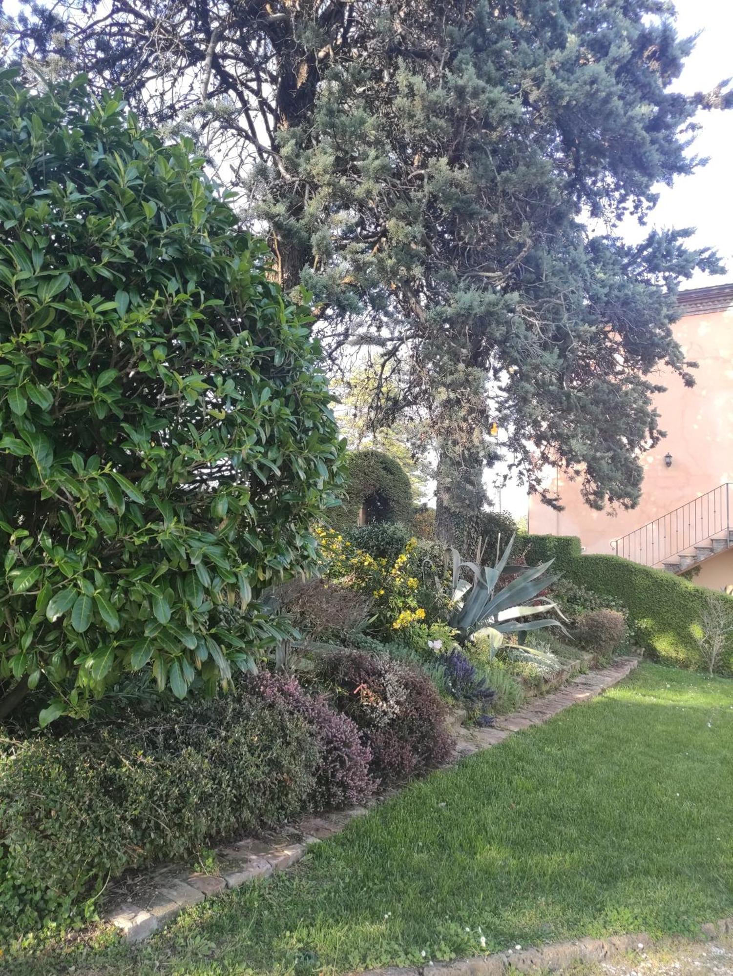 La Pergola Bed & Breakfast Becedasco Bagian luar foto